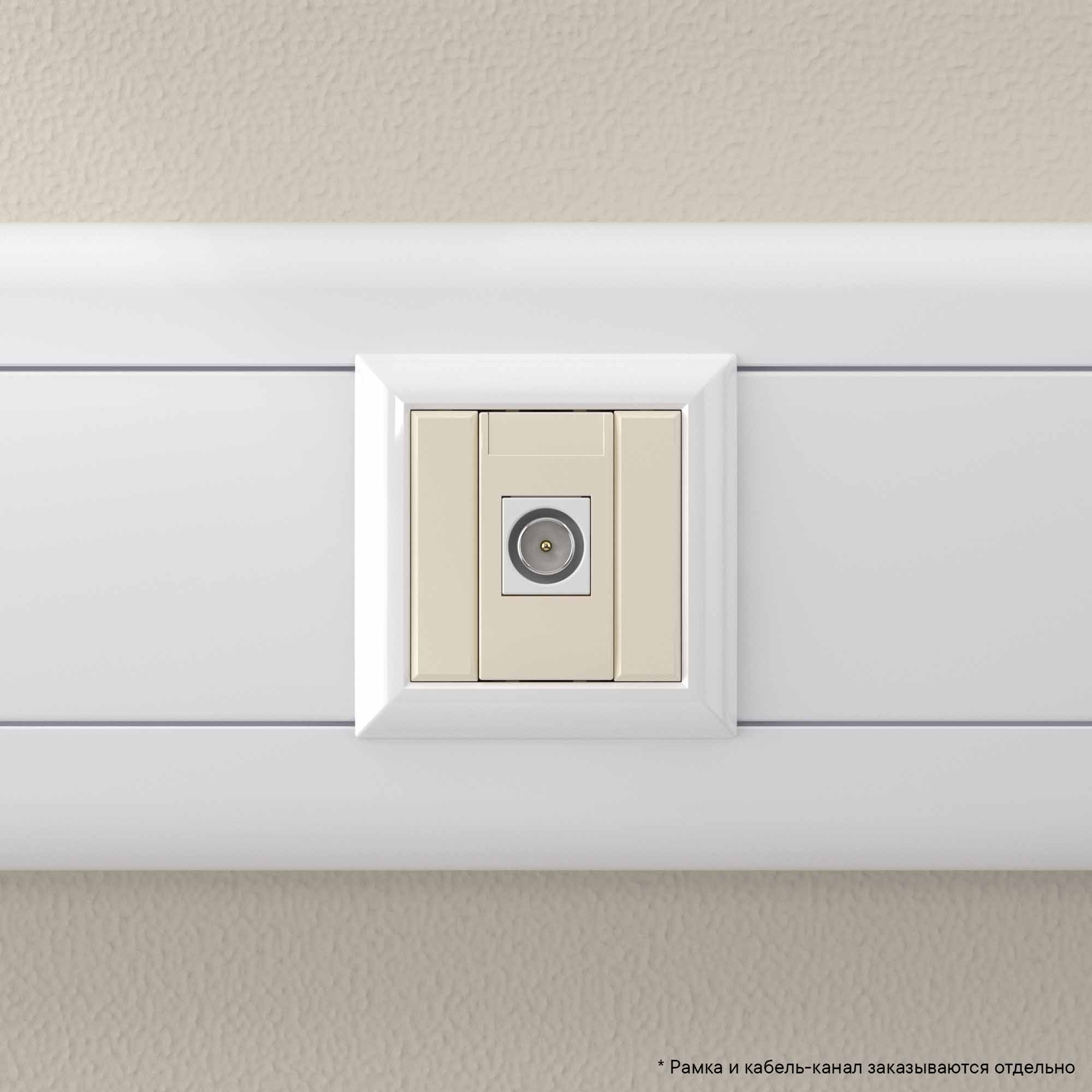 Розетка TV одиночная модульная, Avanti, ванильная дымка, 1 модуль