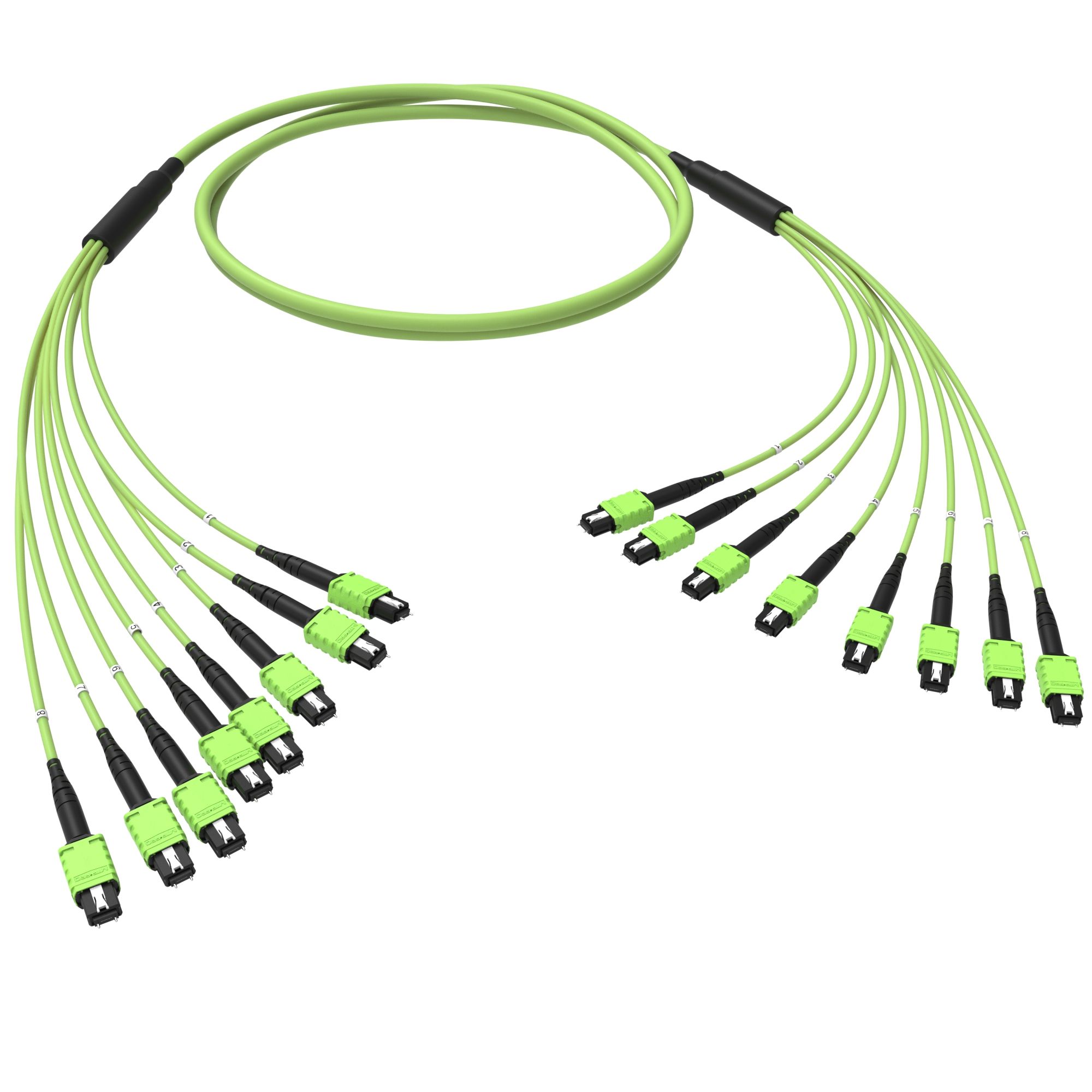 Оптическая магистральная сборка 96 ОВ 50/125 OM5, 8xMTP PRO(12)m/8xMTP PRO(12)m, тип В, 50 м