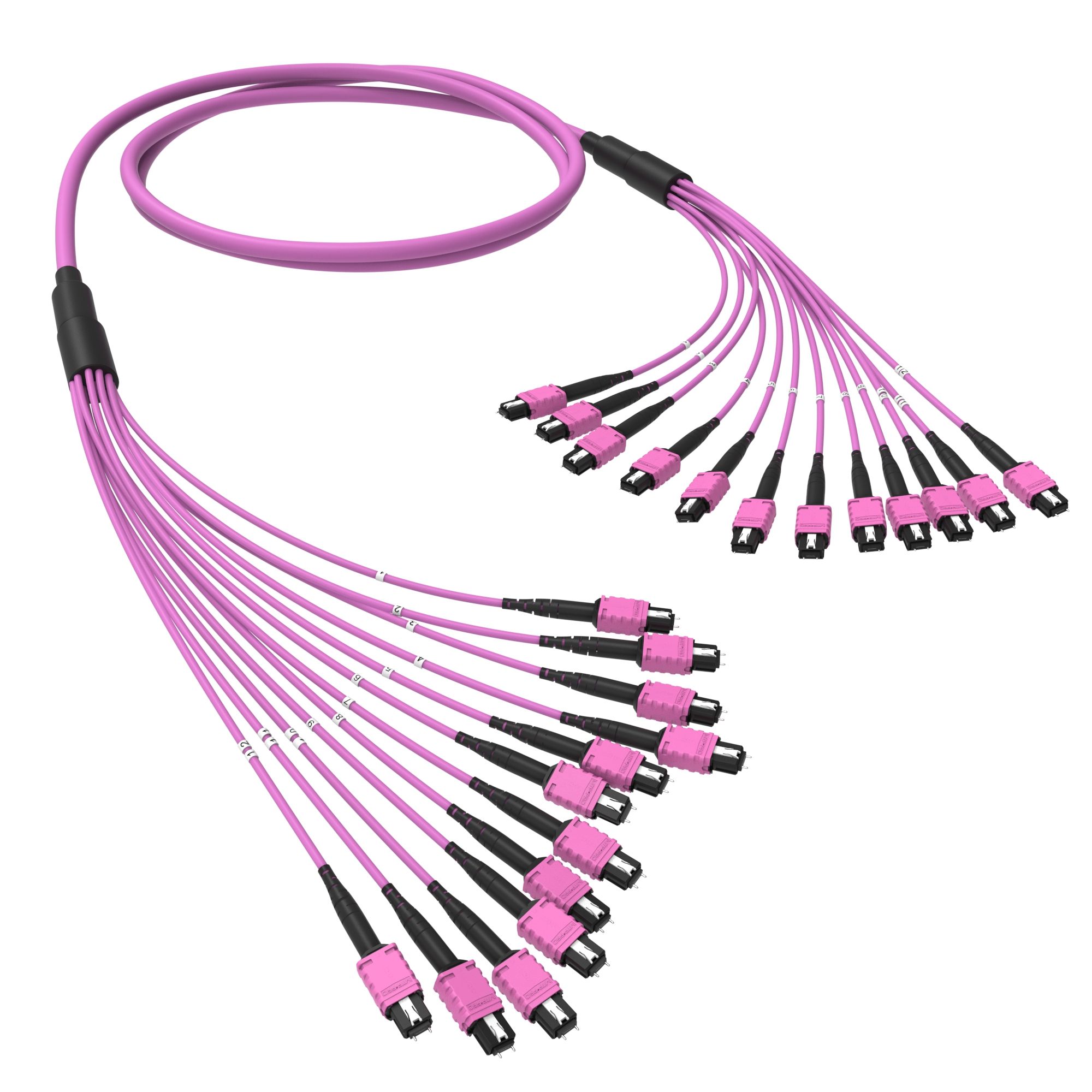 Оптическая магистральная сборка 144 ОВ 50/125 OM4, 12xMTP PRO(12)m ...