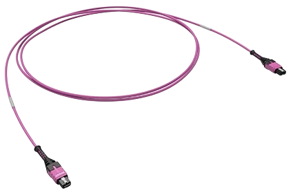 Trunk cable assemblies