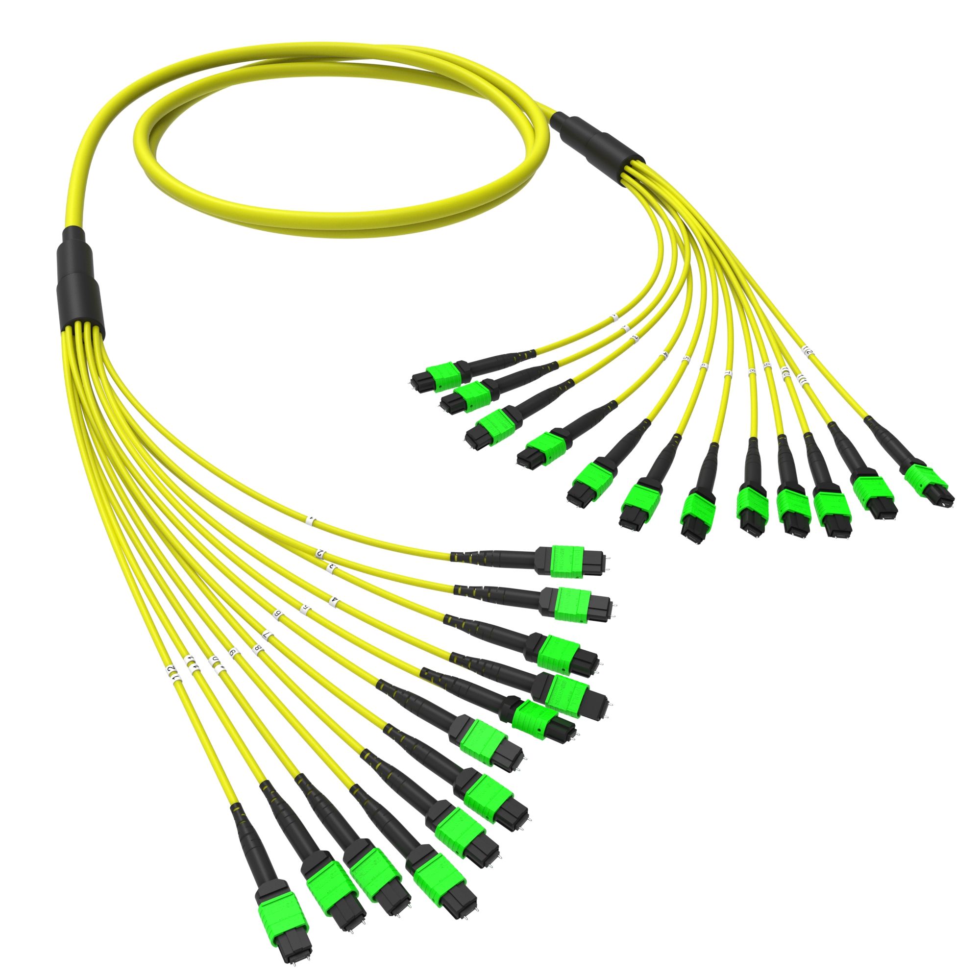 Оптическая магистральная сборка 144 ОВ 9/125 OS2, 12xMTP(12)m/12xMTP(12 ...