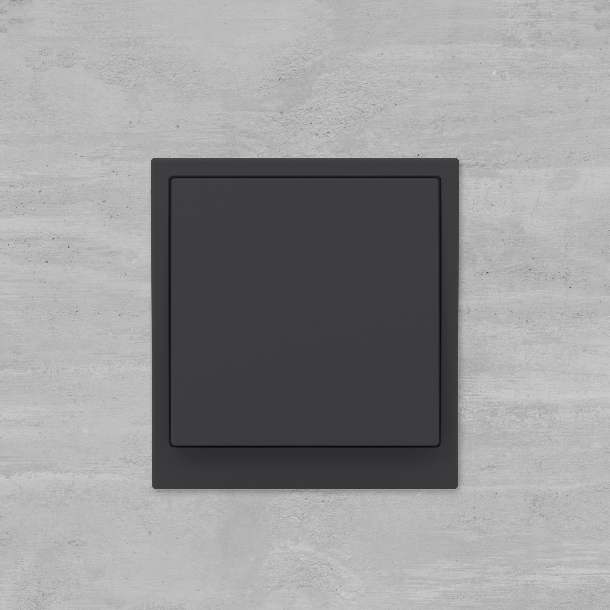 Инвертор одноклавишный, KANT, черный уголь