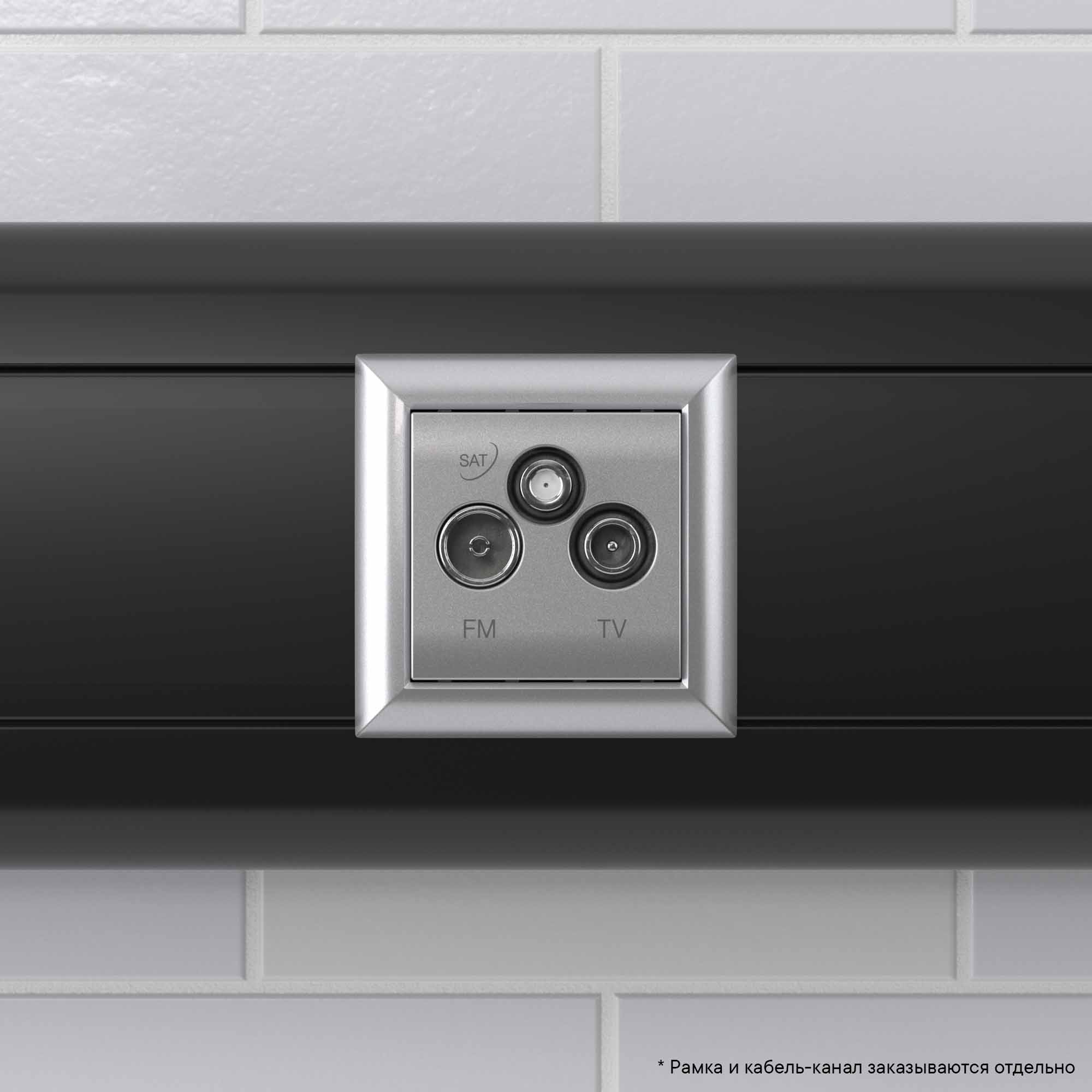 Розетка TV-FM-SAT модульная, Avanti, закаленная сталь, 2 модуля