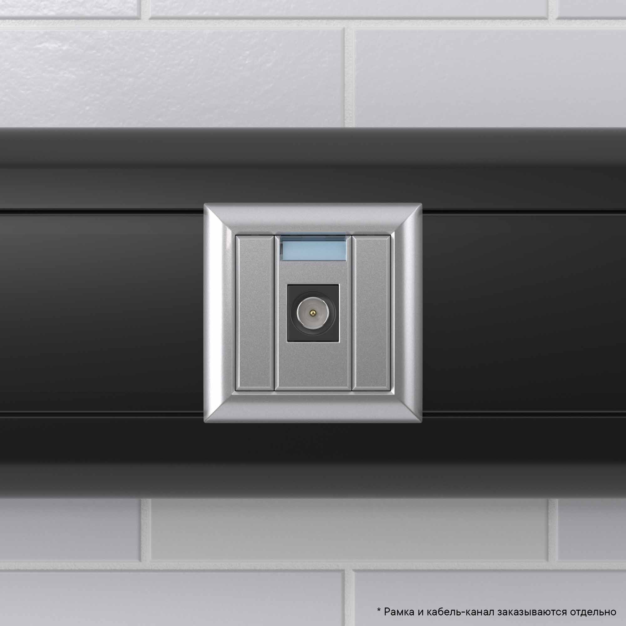 Розетка TV одиночная модульная, Avanti, закаленная сталь, 1 модуль