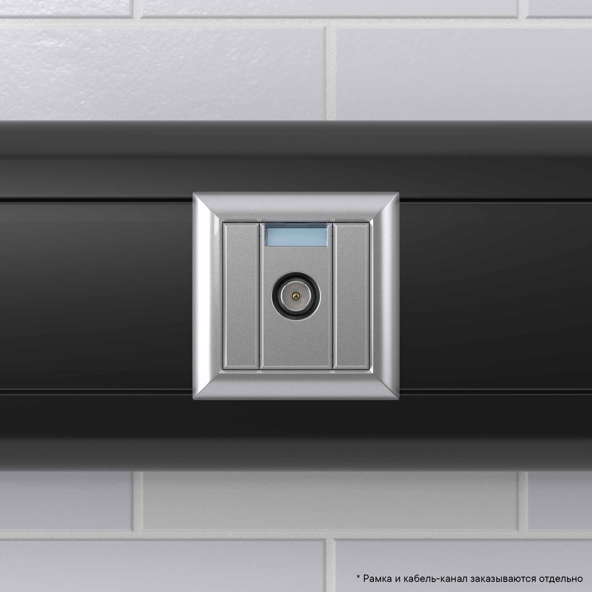 Розетка ТВ проходная, Avanti, закаленная сталь, 1 мод