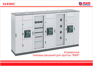 User guide forelectronic manual of standard decisions for RAM block